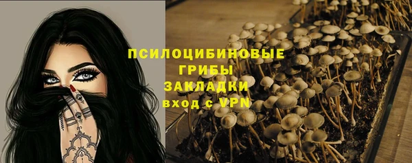 apvp Абинск