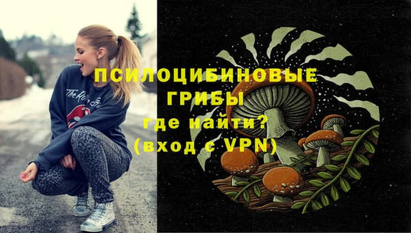 бутират Алексин