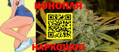 сатива Камышлов