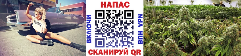 Каннабис семена Мыски